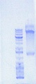 Thumbnail for version as of 21:27, 3 June 2012