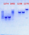 Thumbnail for version as of 15:24, 7 July 2014