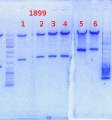 Thumbnail for version as of 14:56, 31 October 2013
