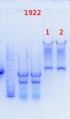 Thumbnail for version as of 10:15, 19 November 2013