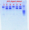 Thumbnail for version as of 14:07, 12 December 2011