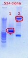 Thumbnail for version as of 15:57, 10 February 2012