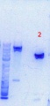 Thumbnail for version as of 13:23, 9 September 2013