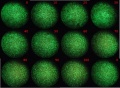 Thumbnail for version as of 13:03, 23 November 2011