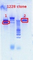 Thumbnail for version as of 15:13, 19 July 2012