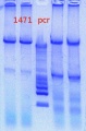 Thumbnail for version as of 11:30, 25 January 2013