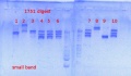 Thumbnail for version as of 16:51, 13 June 2013