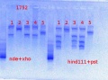 Thumbnail for version as of 12:53, 30 May 2013
