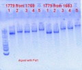 Thumbnail for version as of 15:33, 30 June 2013