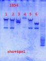 Thumbnail for version as of 14:55, 31 October 2013