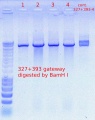 Thumbnail for version as of 10:41, 6 December 2011