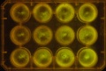 Thumbnail for version as of 11:36, 28 December 2011