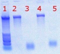 Thumbnail for version as of 14:05, 22 September 2011