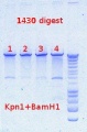 Thumbnail for version as of 14:06, 24 October 2012