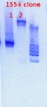 Thumbnail for version as of 17:14, 10 January 2013