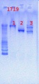 Thumbnail for version as of 16:29, 23 April 2013