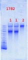 Thumbnail for version as of 13:43, 12 July 2013