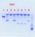 Thumbnail for version as of 16:01, 13 August 2013