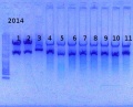 Thumbnail for version as of 15:25, 14 February 2014