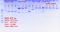 Thumbnail for version as of 16:12, 21 November 2017
