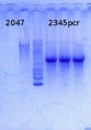 Thumbnail for version as of 13:39, 24 September 2014