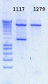 Thumbnail for version as of 17:04, 17 December 2012