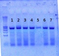 Thumbnail for version as of 14:07, 28 June 2012