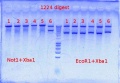 Thumbnail for version as of 12:02, 23 August 2012