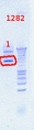 Thumbnail for version as of 08:49, 6 August 2012