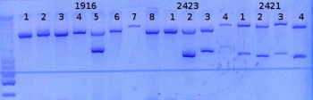 RTENOTITLE