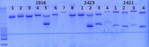 RTENOTITLE