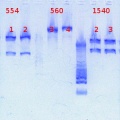 Thumbnail for version as of 16:13, 20 February 2013