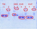 Thumbnail for version as of 14:08, 9 April 2014