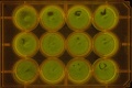 Thumbnail for version as of 19:37, 15 November 2011