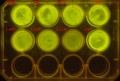 Thumbnail for version as of 17:30, 2 August 2012