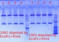 Thumbnail for version as of 16:23, 4 May 2012