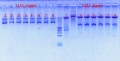 Thumbnail for version as of 13:30, 12 July 2012