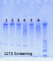 Thumbnail for version as of 15:30, 6 August 2012