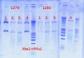 Thumbnail for version as of 12:17, 11 October 2012