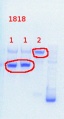 Thumbnail for version as of 15:09, 6 August 2013