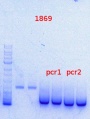 Thumbnail for version as of 11:49, 23 October 2013