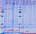 Thumbnail for version as of 18:48, 23 February 2014