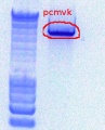 Thumbnail for version as of 09:59, 27 September 2011