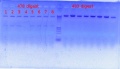 Thumbnail for version as of 16:52, 29 December 2011