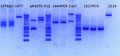 Thumbnail for version as of 16:58, 19 December 2012