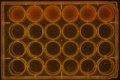 Thumbnail for version as of 13:43, 1 April 2016