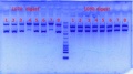 Thumbnail for version as of 14:01, 30 April 2012