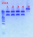 Thumbnail for version as of 17:21, 14 December 2012