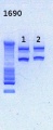 Thumbnail for version as of 17:11, 27 February 2013