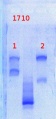 Thumbnail for version as of 12:52, 3 June 2013